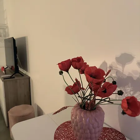 La Casa Di Gi Apartamento *